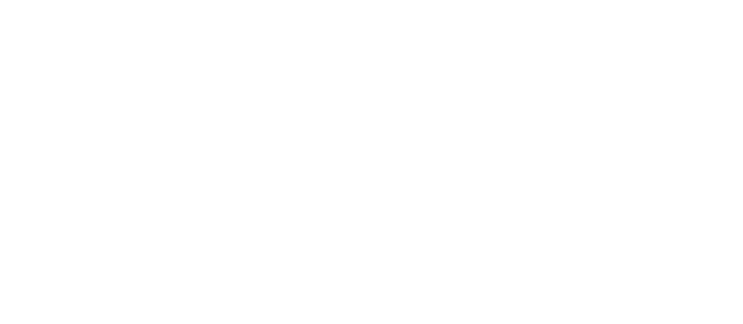 EES Gutter Cleaning